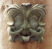 The Tree House - Darwin Holiday