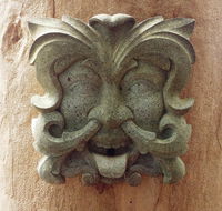 The Tree House - Darwin Holiday