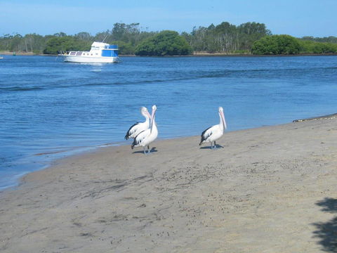 The Ultimate Holiday Retreat - Darwin Holiday 1