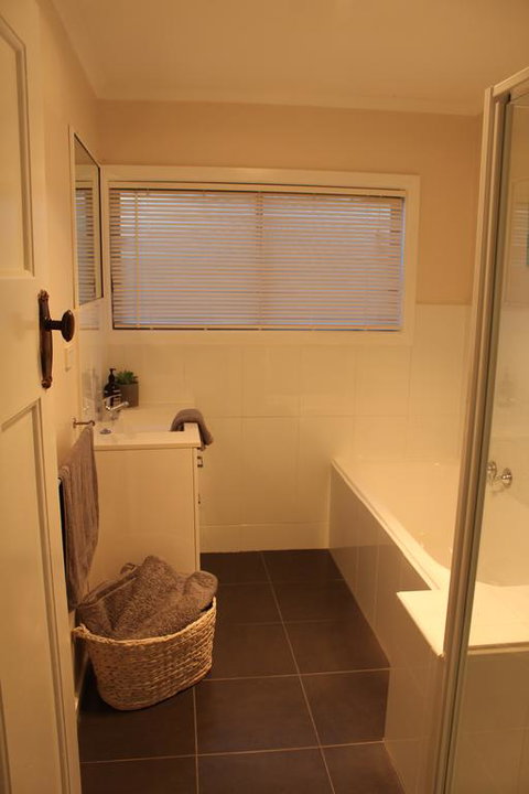 The Yellow Daisy - Darwin Holiday 2