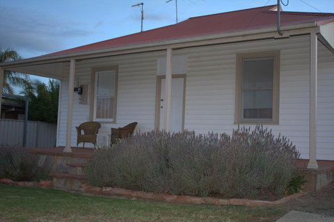 The Yellow Daisy - Darwin Holiday 1