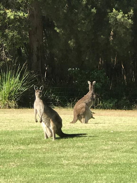 Tinglewood Cabins - Darwin Holiday 2