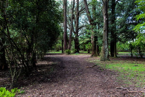 Tomah Retreat - Relax & Heal At UNWIND - Darwin Holiday 1