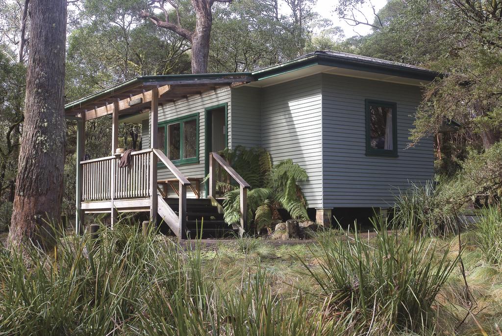 Dinoga NSW Darwin Holiday
