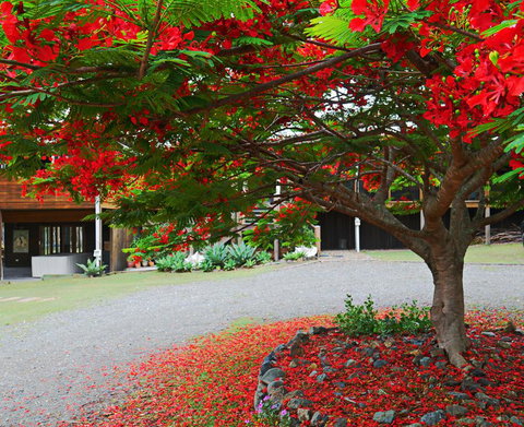 TRANQUILO BEACH HOUSE - Darwin Holiday 2