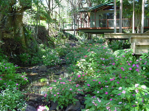 Treetops Montville - Darwin Holiday 0