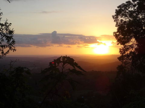 Treetops Montville - Darwin Holiday 3