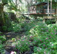 Treetops Montville - Darwin Holiday
