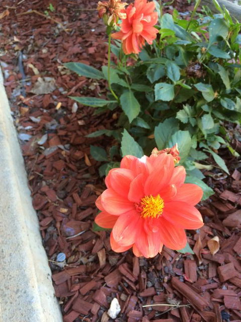 Tumut Valley Motel - Darwin Holiday 1