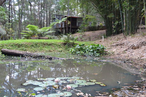 Turmeric Gardens - Darwin Holiday 3