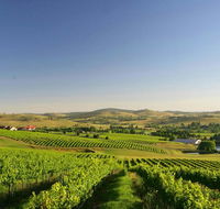 Turners Vineyard Motel - Darwin Holiday