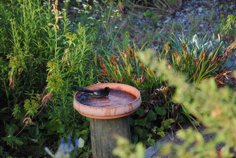 Tweed Valley Lodge - Darwin Holiday 2