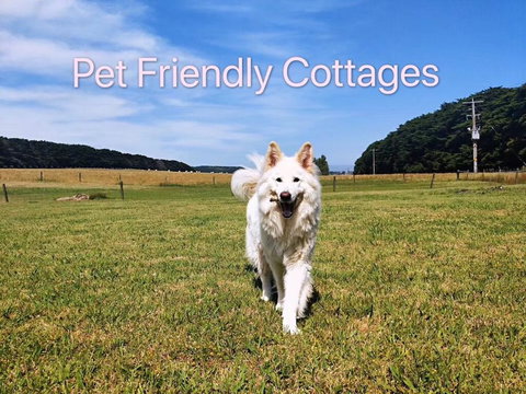 Twelve Apostles Motel & Country Retreat - Darwin Holiday 2