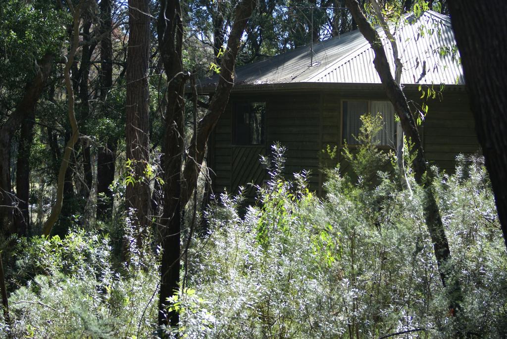 Fitzroy Falls NSW Darwin Holiday