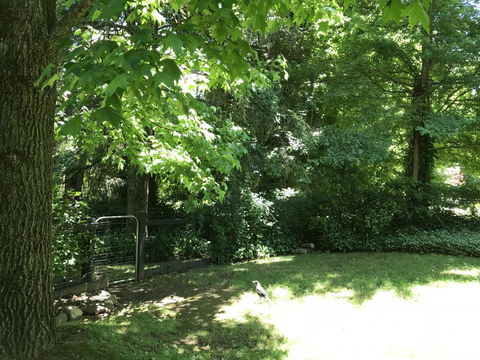 Tyntynder Garden Cottage 4 - Darwin Holiday 2