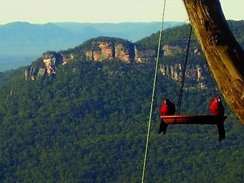 Valley Of The Waters B&B - Darwin Holiday 3