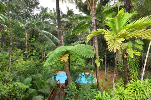 Wait A While Daintree - Darwin Holiday 3