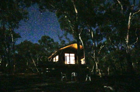 Wallabies Rest - Darwin Holiday 2