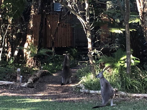 Wanderers Retreat - Darwin Holiday 2