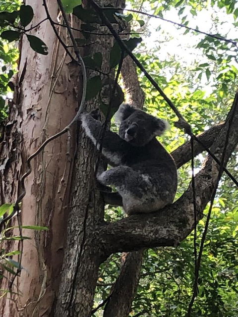 Wanderers Retreat - Darwin Holiday 1