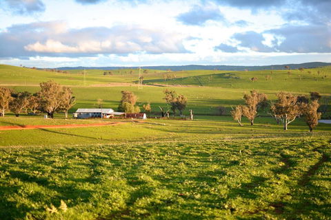 Wantana Cottage Farmstay - Darwin Holiday 0