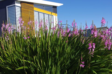 Watercolours - Darwin Holiday 1