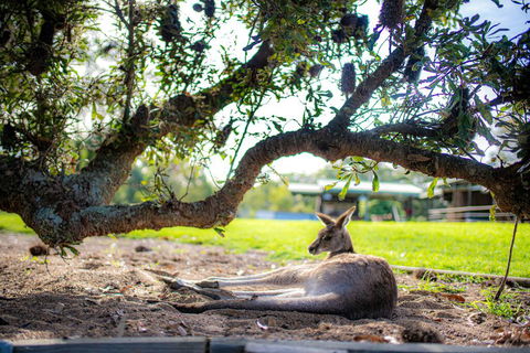 Waterfall Springs Retreat - Darwin Holiday 1