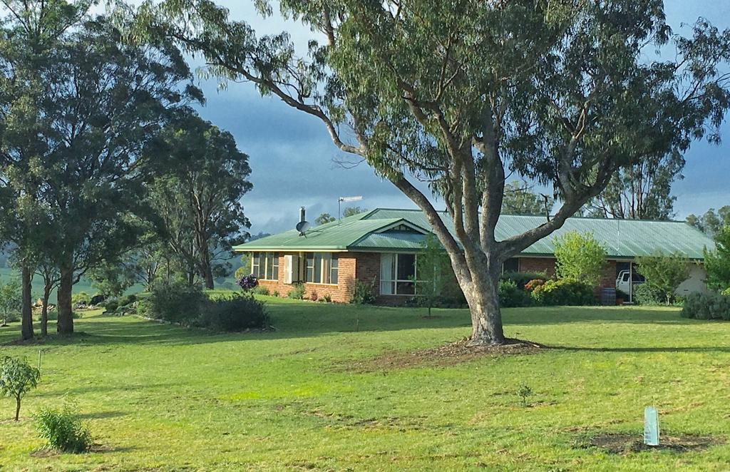Dinoga NSW Darwin Holiday