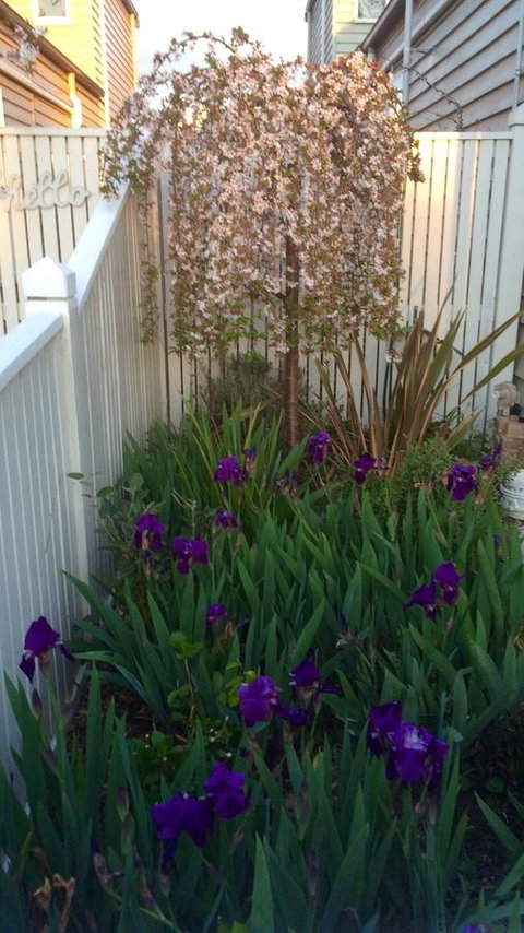 Redruth Cottage - Darwin Holiday 24