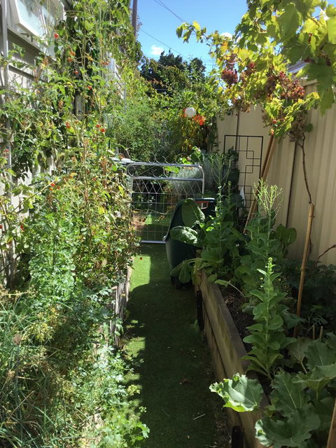 Redruth Cottage - Darwin Holiday 7