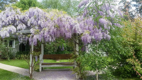 Amelina Cottages - Darwin Holiday 0