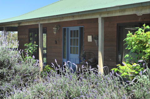 Lavender Farm - Darwin Holiday 8
