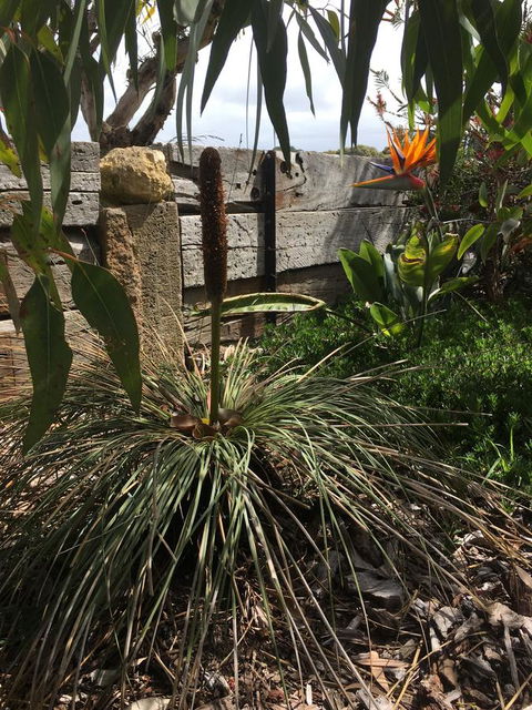 The PC Cottage - Darwin Holiday 32