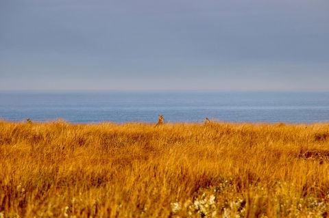 The PC Cottage - Darwin Holiday 39