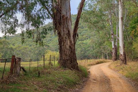 Alpine Aspects - Darwin Holiday 10
