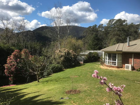 Alpine Aspects - Darwin Holiday 23