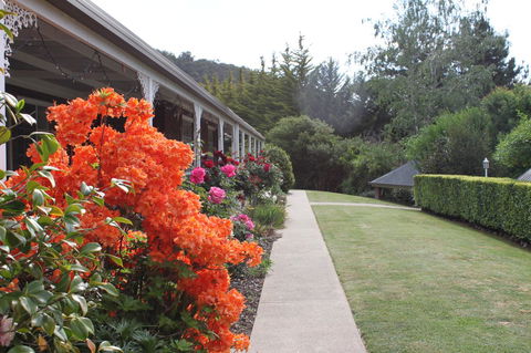 Alpine Aspects - Darwin Holiday 34