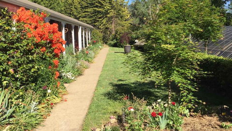 Alpine Aspects - Darwin Holiday 4