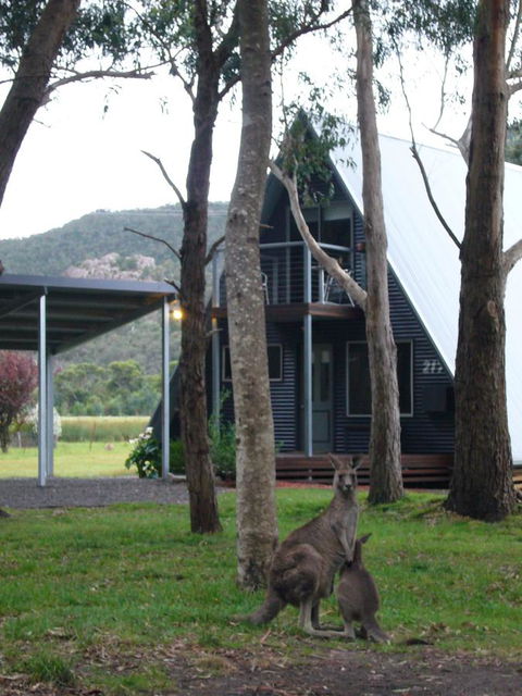 The A-Frame - Darwin Holiday 1