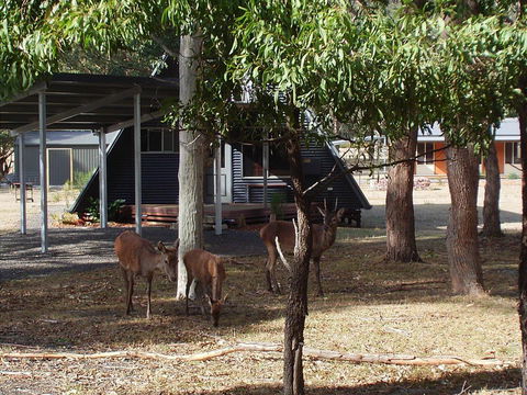 The A-Frame - Darwin Holiday 13