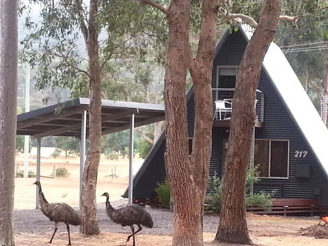 The A-Frame - Darwin Holiday 9