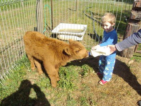 Aspens Springs Farmstay - Darwin Holiday 22