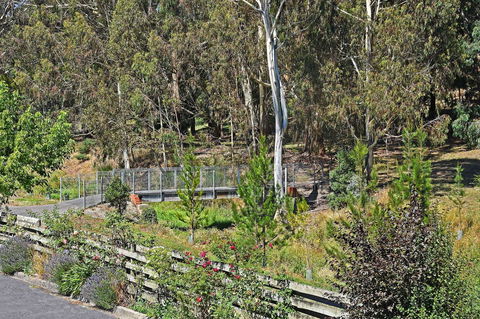 Main Lead Ballarat Motel - Darwin Holiday 5