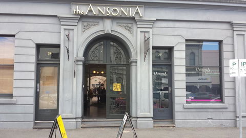 Ansonia On Lydiard - Darwin Holiday 7