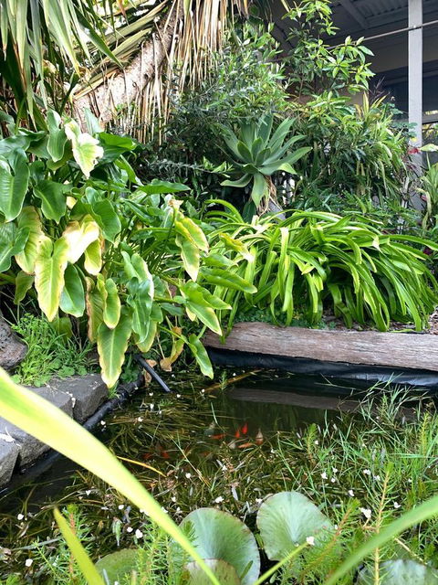 Sunryes Beach House - Darwin Holiday 30