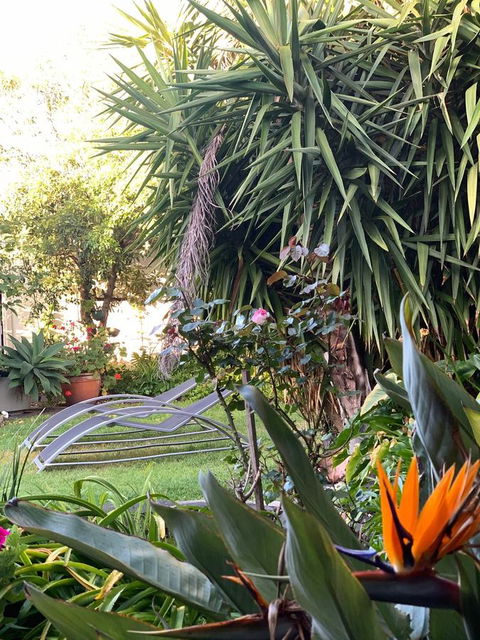 Sunryes Beach House - Darwin Holiday 32