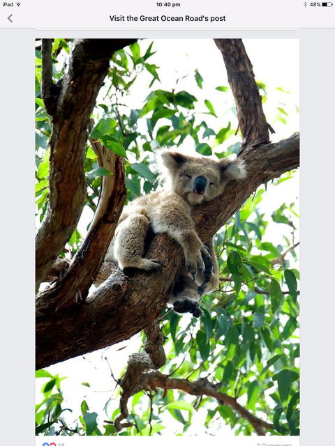 Austral Place 88 Via Merri River - Darwin Holiday 24