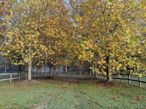 Kangaroo Manor - Darwin Holiday 11