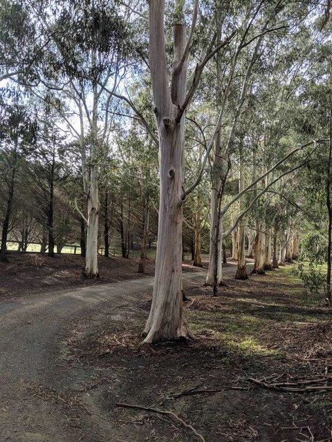 Kangaroo Manor - Darwin Holiday 10