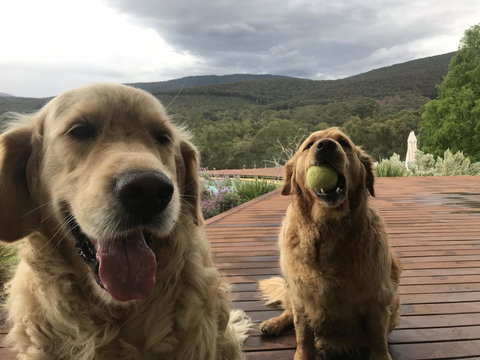 Kangaroo Manor - Darwin Holiday 3